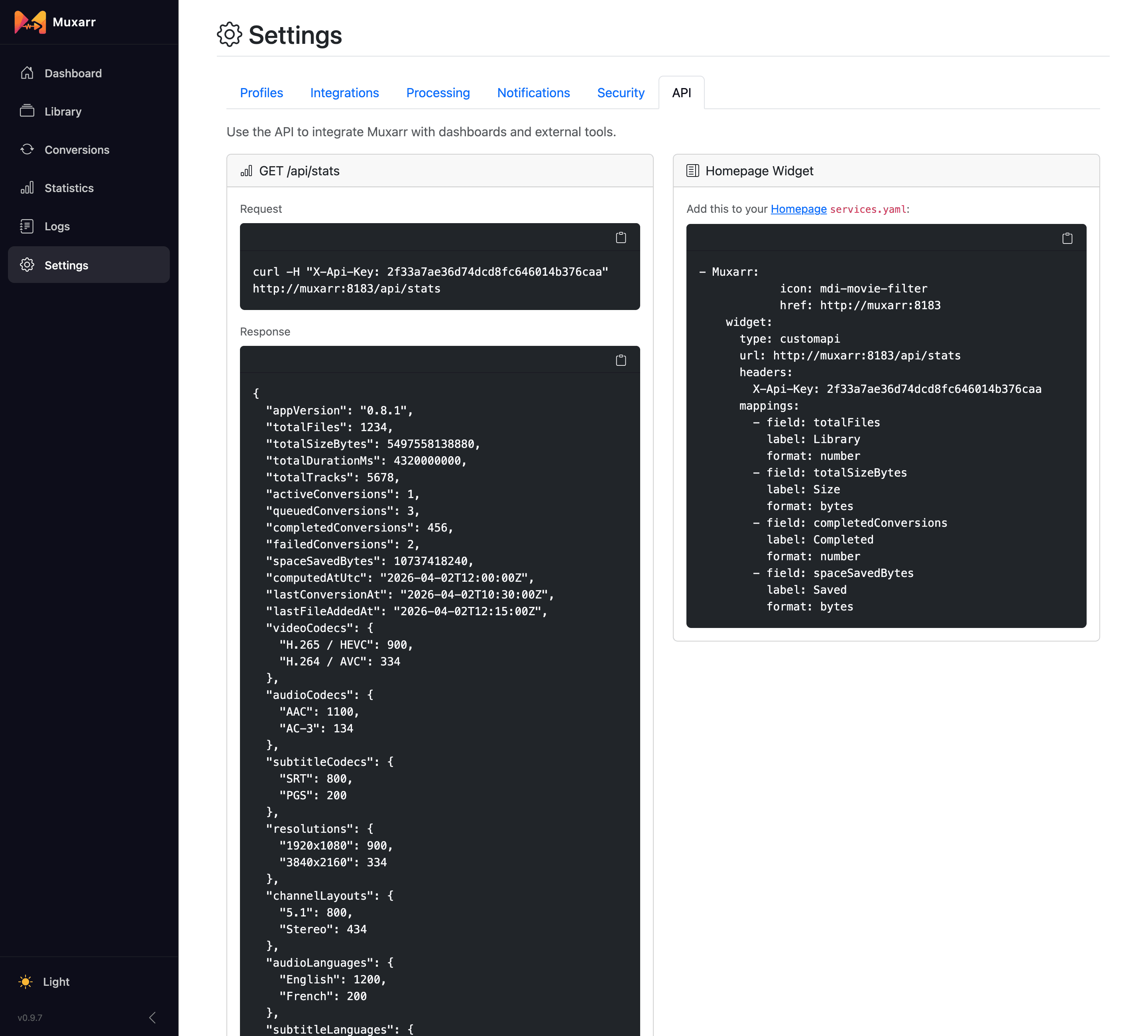 The API tab with the stats endpoint and a Homepage widget snippet